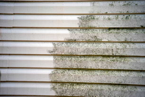 How To Choose The Right Materials for Your Siding Installation in 'Westerville, OH